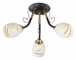 Потолочная люстра Escada Camila 1112/3P в Советском - sovetskiy.mebel24.online | фото 1