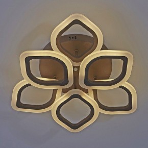 Потолочная люстра Escada Ella 10212/6LED Coffee в Советском - sovetskiy.mebel24.online | фото 4
