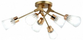 Потолочная люстра Escada Felicia 1137/6P в Советском - sovetskiy.mebel24.online | фото 2