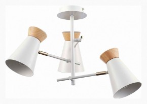 Потолочная люстра EVOLUCE Alfeo SLE1252-502-03 в Советском - sovetskiy.mebel24.online | фото 2