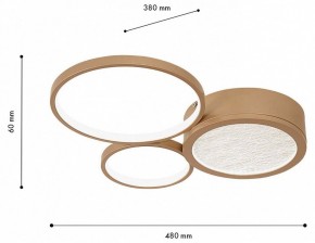 Потолочная люстра F-promo Campus 4681-3C в Советском - sovetskiy.mebel24.online | фото 7
