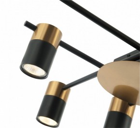 Потолочная люстра Favourite Topper 2825-8P в Советском - sovetskiy.mebel24.online | фото 4