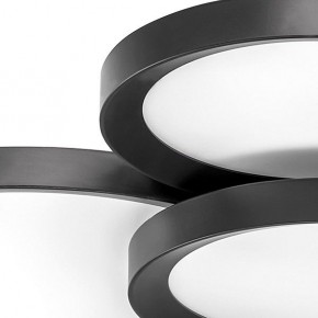 Потолочная люстра Lightstar Breve 749081 в Советском - sovetskiy.mebel24.online | фото 4