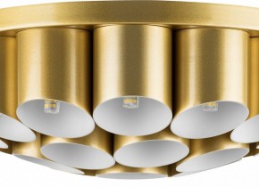 Потолочная люстра Lightstar Siena 720222 в Советском - sovetskiy.mebel24.online | фото 3