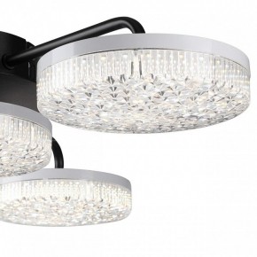 Потолочная люстра Lumion Didana 8236/4CL в Советском - sovetskiy.mebel24.online | фото 7