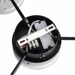 Потолочная люстра Lumion Didana 8236/4CL в Советском - sovetskiy.mebel24.online | фото 9