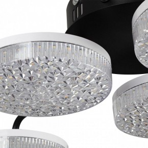 Потолочная люстра Lumion Didana 8236/6CL в Советском - sovetskiy.mebel24.online | фото 10