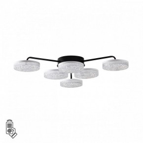 Потолочная люстра Lumion Didana 8236/6CL в Советском - sovetskiy.mebel24.online | фото 5