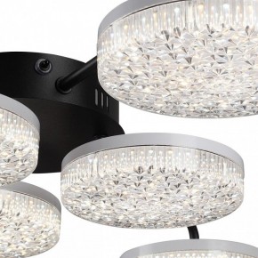 Потолочная люстра Lumion Didana 8236/6CL в Советском - sovetskiy.mebel24.online | фото 9