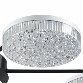 Потолочная люстра Lumion Didana 8236/7CL в Советском - sovetskiy.mebel24.online | фото 9