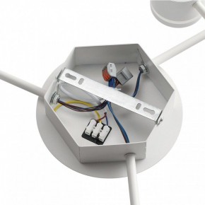 Потолочная люстра Lumion Gareta 8235/9C в Советском - sovetskiy.mebel24.online | фото 6