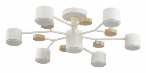Потолочная люстра Lumion Rondo 8195/7C в Советском - sovetskiy.mebel24.online | фото