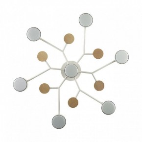 Потолочная люстра Lumion Rondo 8195/7C в Советском - sovetskiy.mebel24.online | фото 3