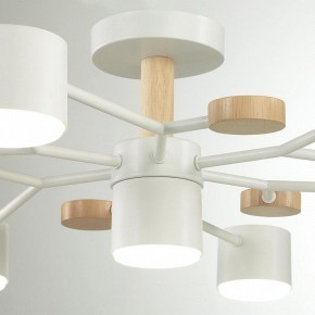 Потолочная люстра Lumion Rondo 8195/7C в Советском - sovetskiy.mebel24.online | фото 7