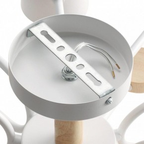 Потолочная люстра Lumion Rondo 8196/10C в Советском - sovetskiy.mebel24.online | фото 6
