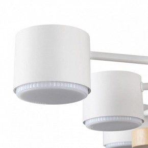 Потолочная люстра Lumion Rondo 8196/10C в Советском - sovetskiy.mebel24.online | фото 7