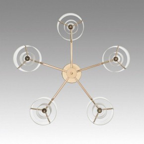 Потолочная люстра Lumion Verdi 6587/5C в Советском - sovetskiy.mebel24.online | фото 4