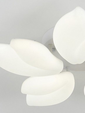 Потолочная люстра Natali Kovaltseva Effect LED LAMPS 81116 в Советском - sovetskiy.mebel24.online | фото 10