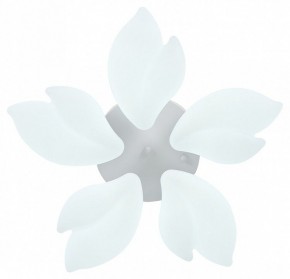 Потолочная люстра Natali Kovaltseva Effect LED LAMPS 81116 в Советском - sovetskiy.mebel24.online | фото 3