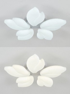 Потолочная люстра Natali Kovaltseva Effect LED LAMPS 81116 в Советском - sovetskiy.mebel24.online | фото 6