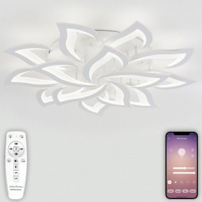Потолочная люстра Natali Kovaltseva Olimp LED LAMPS 81335 в Советском - sovetskiy.mebel24.online | фото 4