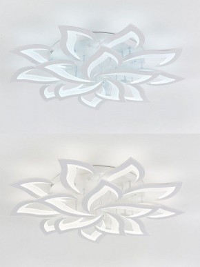 Потолочная люстра Natali Kovaltseva Olimp LED LAMPS 81335 в Советском - sovetskiy.mebel24.online | фото 6