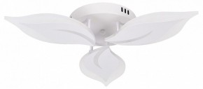Потолочная люстра Natali Kovaltseva Sirius LED LAMPS 81164 в Советском - sovetskiy.mebel24.online | фото