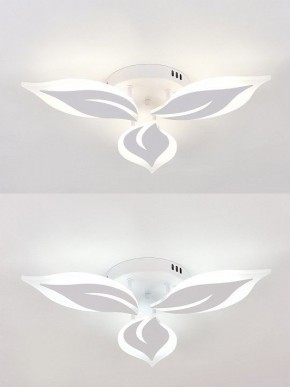 Потолочная люстра Natali Kovaltseva Sirius LED LAMPS 81164 в Советском - sovetskiy.mebel24.online | фото 6