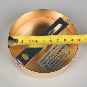 Потолочная люстра Omnilux Acuto OML-67007-06 в Советском - sovetskiy.mebel24.online | фото 8