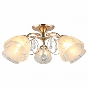 Потолочная люстра Omnilux Castellaro OML-29007-05 в Советском - sovetskiy.mebel24.online | фото 2