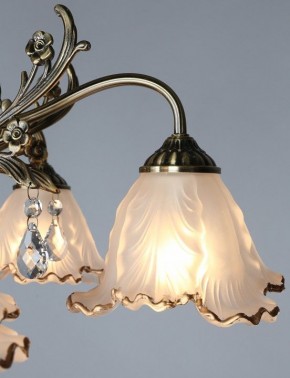 Потолочная люстра Omnilux Petrara OML-54807-05 в Советском - sovetskiy.mebel24.online | фото 3