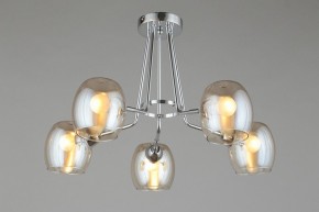 Потолочная люстра Omnilux Tesero OML-27307-05 в Советском - sovetskiy.mebel24.online | фото 6