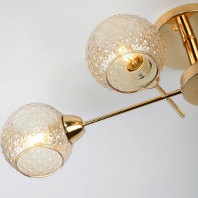 Потолочная люстра Rivoli Amalia Б0050815 в Советском - sovetskiy.mebel24.online | фото 8