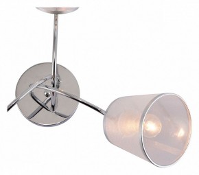 Потолочная люстра Rivoli Shirley Б0059981 в Советском - sovetskiy.mebel24.online | фото 4