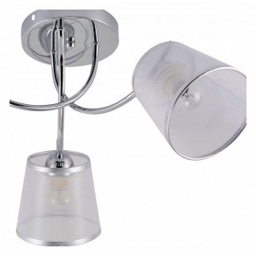 Потолочная люстра Rivoli Shirley Б0059981 в Советском - sovetskiy.mebel24.online | фото 5