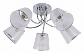Потолочная люстра Rivoli Shirley Б0059982 в Советском - sovetskiy.mebel24.online | фото