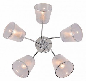 Потолочная люстра Rivoli Shirley Б0059982 в Советском - sovetskiy.mebel24.online | фото 3