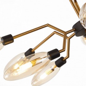 Потолочная люстра ST-Luce Desima SL1174.303.12 в Советском - sovetskiy.mebel24.online | фото 11