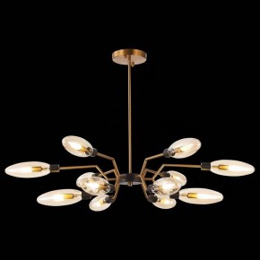 Потолочная люстра ST-Luce Desima SL1174.303.12 в Советском - sovetskiy.mebel24.online | фото 2