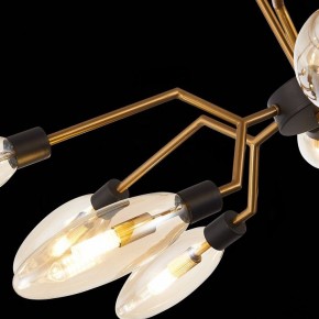 Потолочная люстра ST-Luce Desima SL1174.303.12 в Советском - sovetskiy.mebel24.online | фото 9