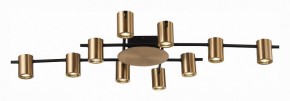 Потолочная люстра ST-Luce Veroli SL1207.402.10 в Советском - sovetskiy.mebel24.online | фото 2