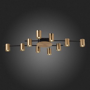 Потолочная люстра ST-Luce Veroli SL1207.402.10 в Советском - sovetskiy.mebel24.online | фото 6