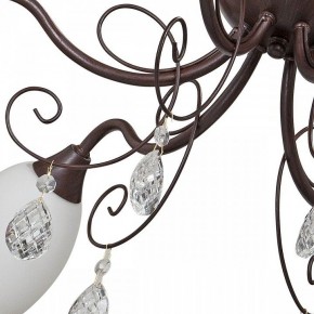 Потолочная люстра Vitaluce V1472 V1472/6PL в Советском - sovetskiy.mebel24.online | фото 3
