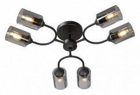 Потолочная люстра Vitaluce V2823 V2823-1/6PL в Советском - sovetskiy.mebel24.online | фото 2