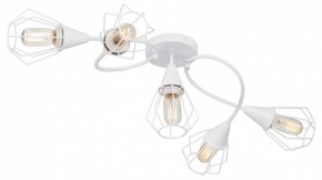 Потолочная люстра Vitaluce V3037 V3037-0/5PL в Советском - sovetskiy.mebel24.online | фото