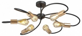 Потолочная люстра Vitaluce V3076 V3076-1/6PL в Советском - sovetskiy.mebel24.online | фото 3