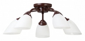 Потолочная люстра Vitaluce V3184 V3252/5PL в Советском - sovetskiy.mebel24.online | фото