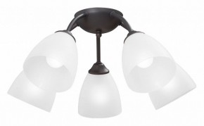 Потолочная люстра Vitaluce V3184 V3737-2/5PL в Советском - sovetskiy.mebel24.online | фото