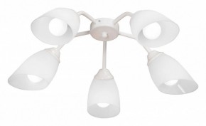 Потолочная люстра Vitaluce V31950 V31950/5PL в Советском - sovetskiy.mebel24.online | фото
