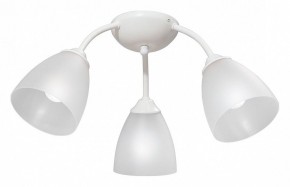 Потолочная люстра Vitaluce V3737 V3737-0/3PL в Советском - sovetskiy.mebel24.online | фото